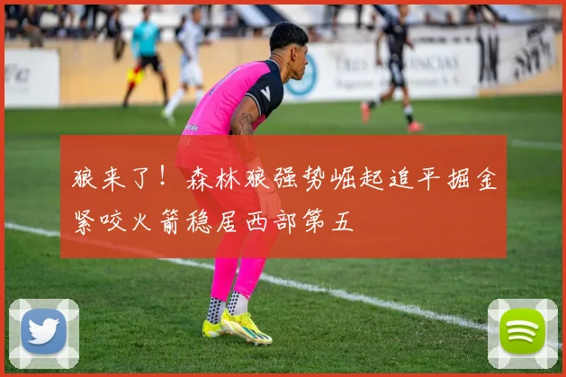 狼来了！森林狼强势崛起追平掘金紧咬火箭稳居西部第五