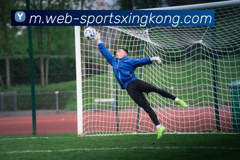 星空体育平台生态图