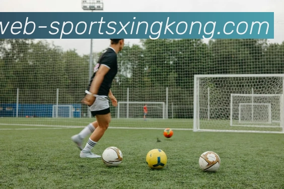 星空体育APP 封面图